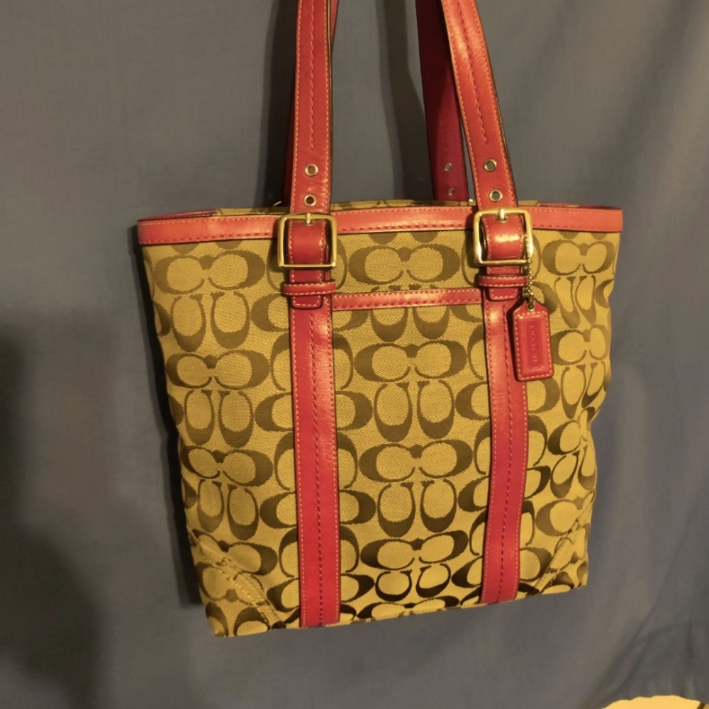 * Valentine's Day Special * COACH bag